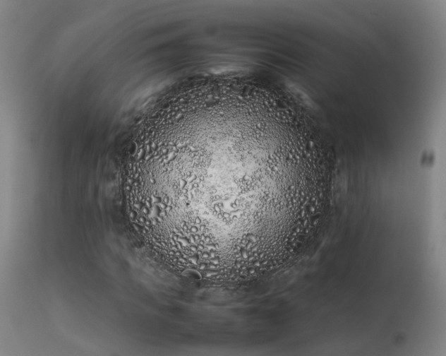 X0000113330917200909211216