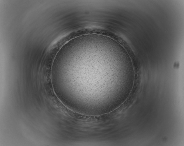 X0000113330919200909211216