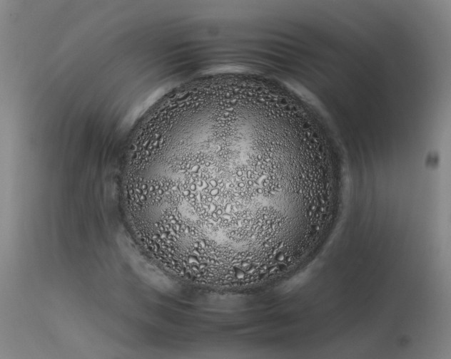 X0000113330921200909211216