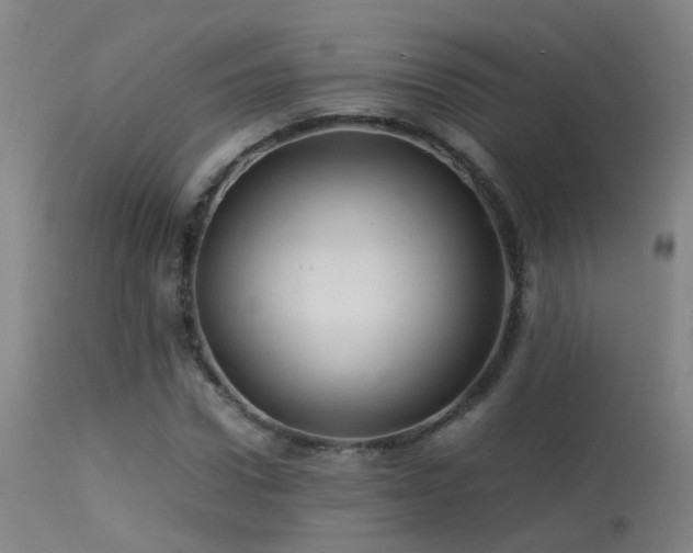 X0000113330922200909211216