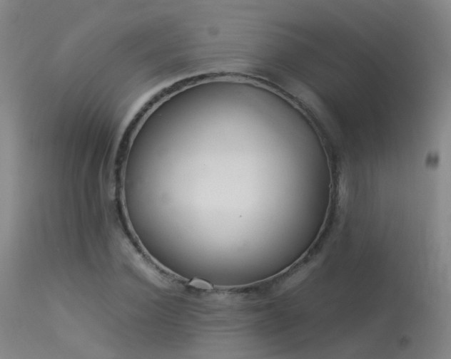 X0000113330924200909211216
