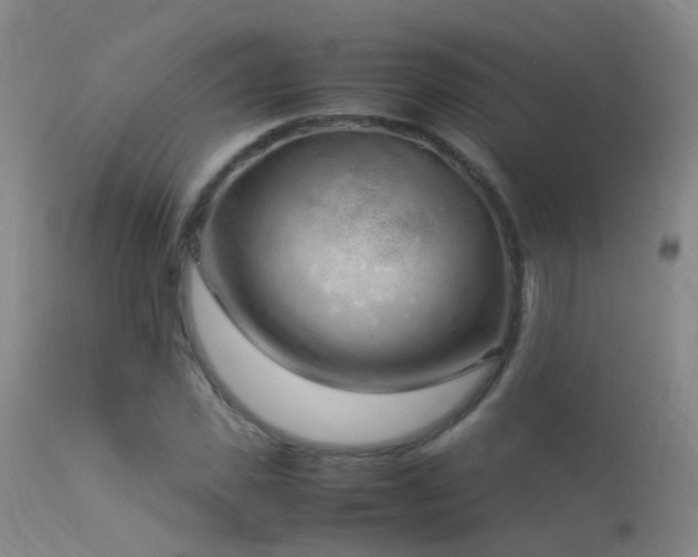 X0000113330925200909211216