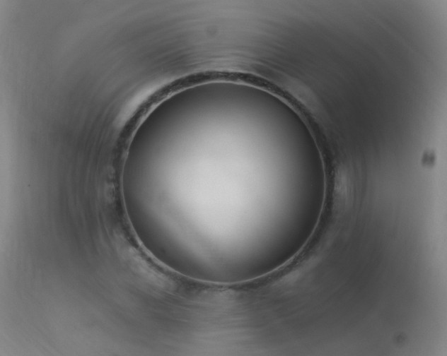 X0000113330926200909211216