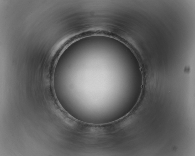 X0000113330927200909211216