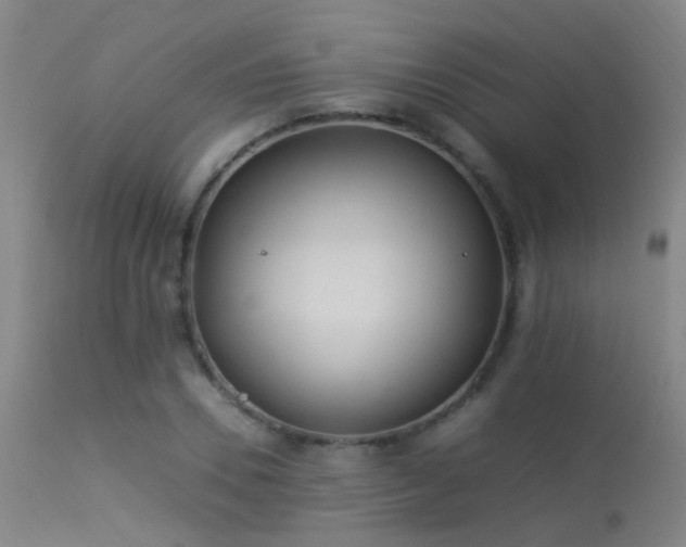 X0000113330930200909211216