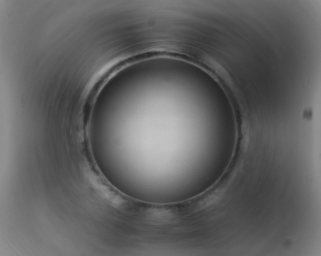 X0000113330931200909211216