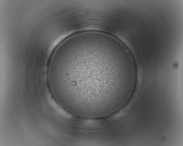 X0000113330933200909211216