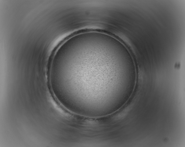 X0000113330935200909211216