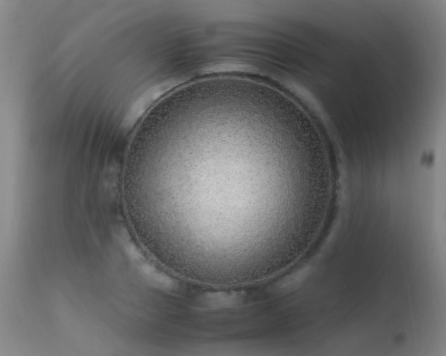 X0000113330937200909211216