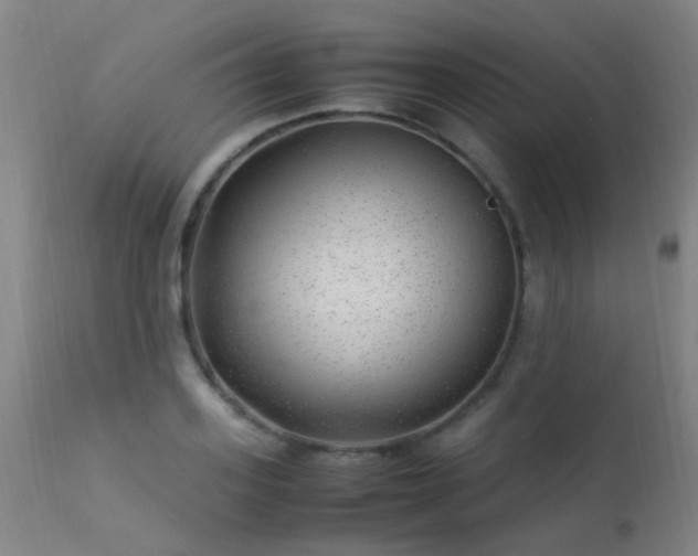 X0000113330939200909211216