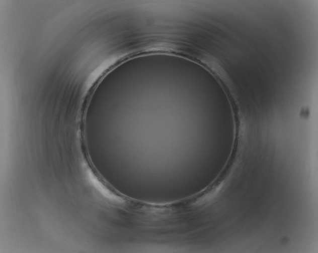 X0000113330941200909211217