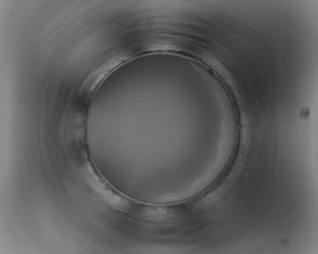 X0000113330945200909211217