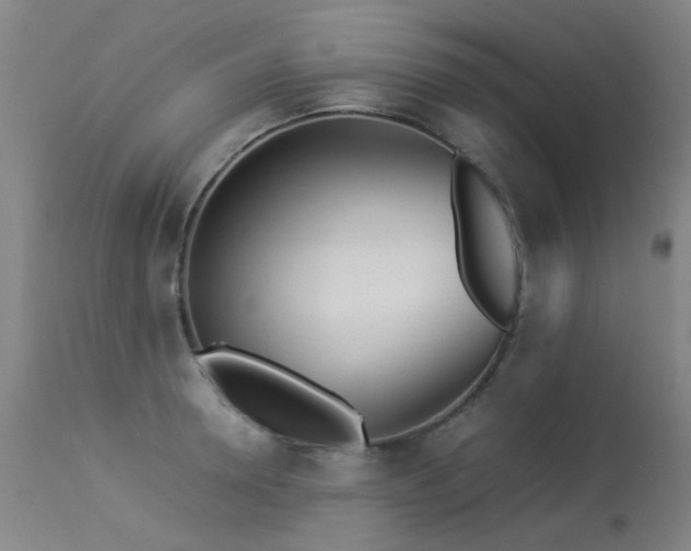 X0000113330946200909211217