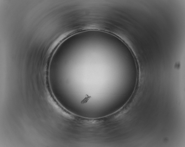 X0000113330949200909211217