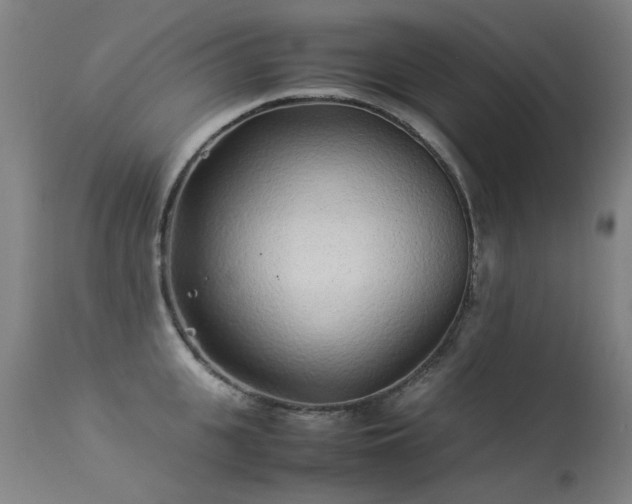 X0000113330951200909211217