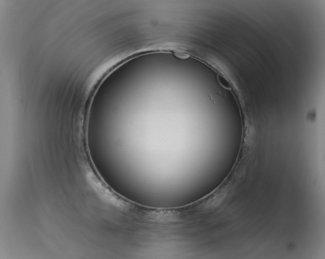 X0000113330952200909211217