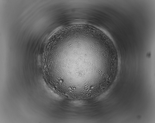 X0000113330953200909211217