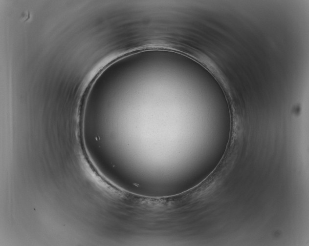 X0000113330955200909211217