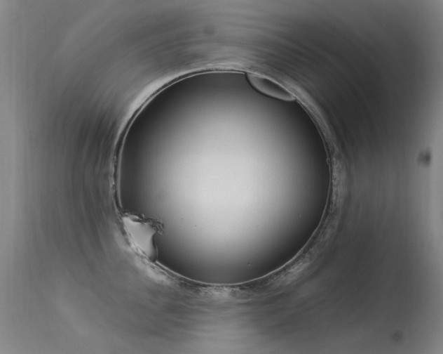 X0000113330956200909211217