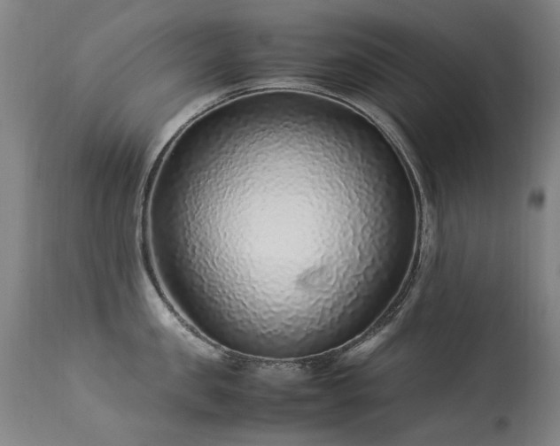 X0000113330957200909211217