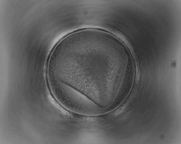 X0000113330958200909211217