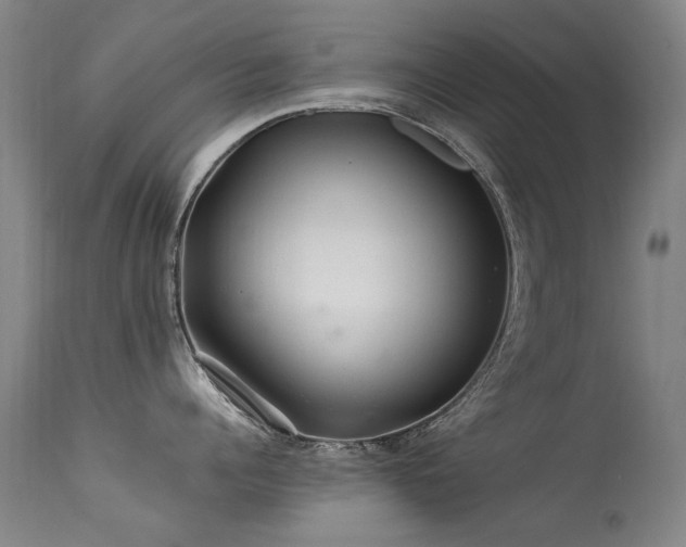 X0000113330960200909211217
