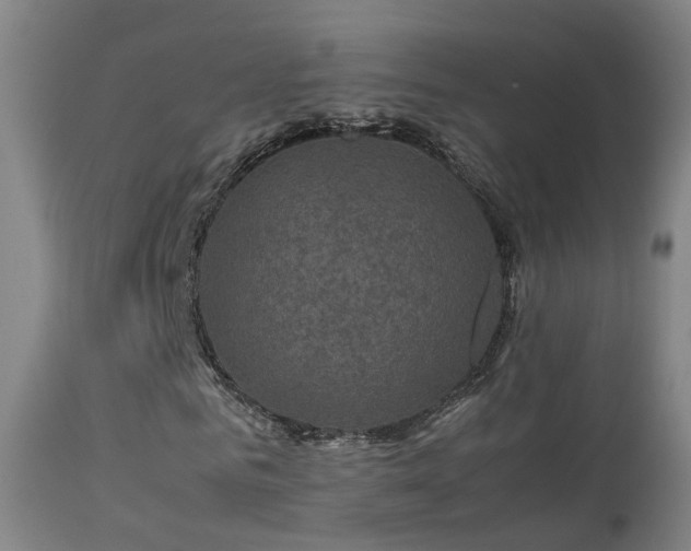 X0000113330961200909211216