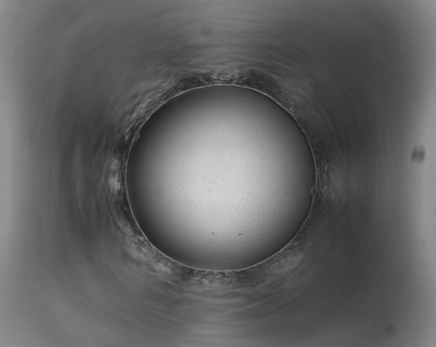 X0000113330962200909211216