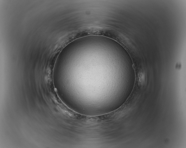 X0000113330964200909211216