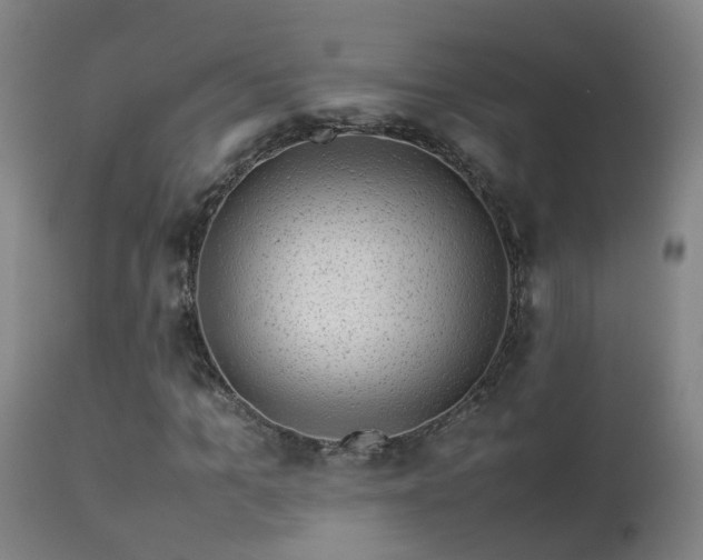 X0000113330965200909211216