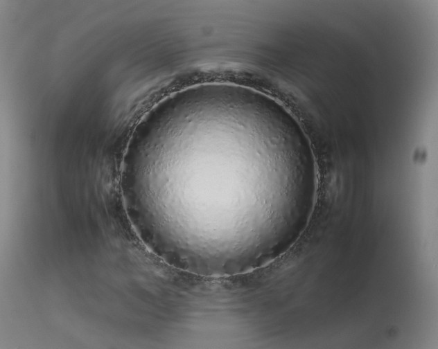 X0000113330966200909211216