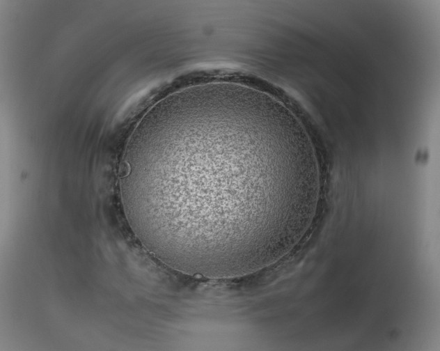 X0000113330967200909211216