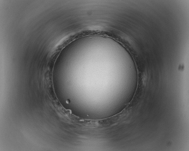 X0000113330968200909211216