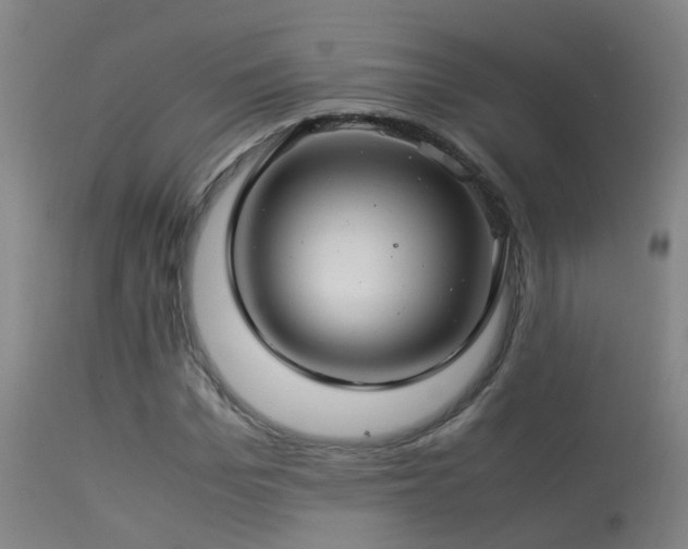 X0000113330969200909211216