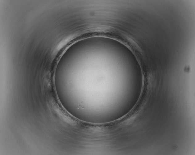 X0000113330970200909211216