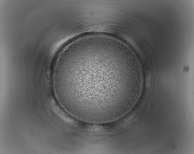 X0000113330971200909211216
