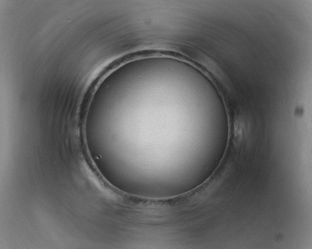 X0000113330972200909211216