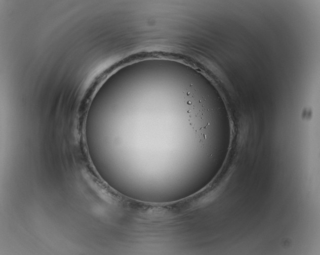 X0000113330974200909211216