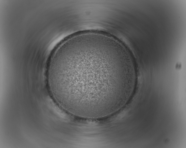 X0000113330975200909211216