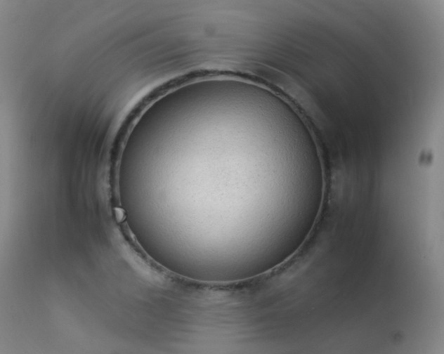X0000113330976200909211216