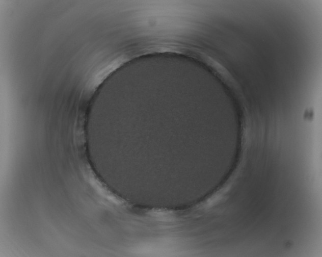 X0000113330977200909211216