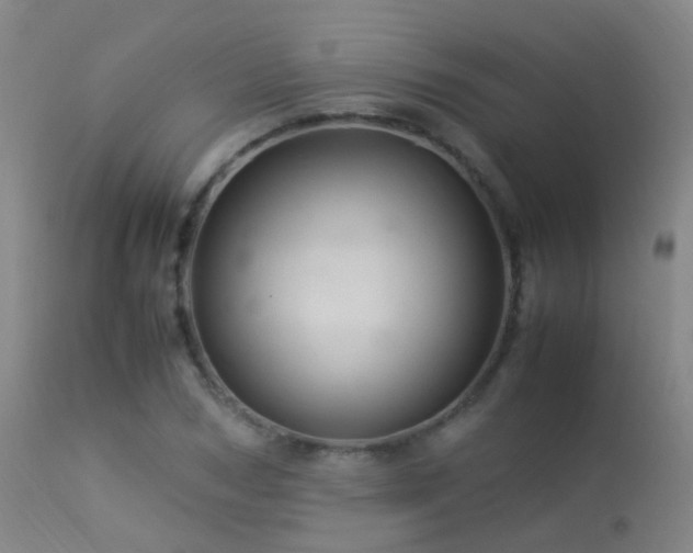 X0000113330978200909211216