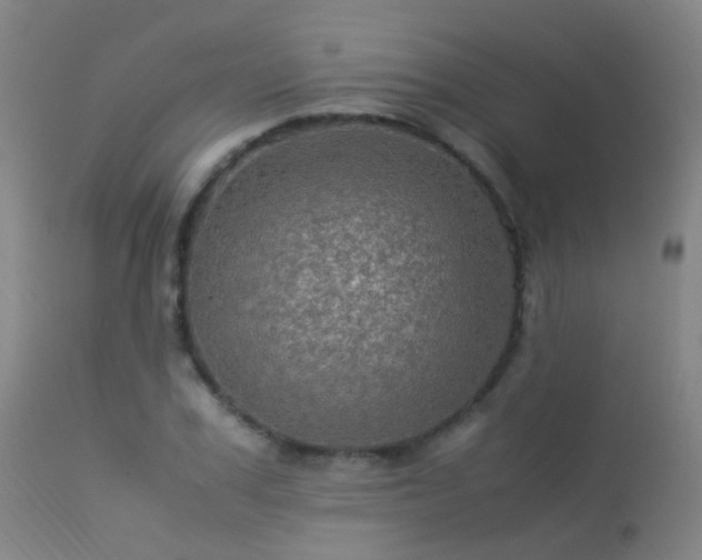 X0000113330979200909211216
