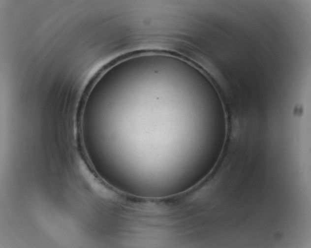 X0000113330980200909211216