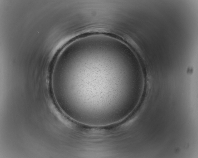 X0000113330981200909211216