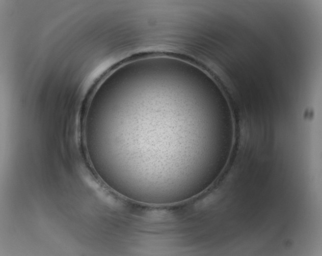 X0000113330982200909211216