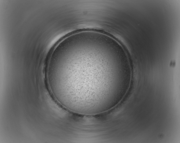 X0000113330983200909211216