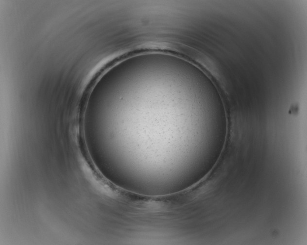 X0000113330984200909211216