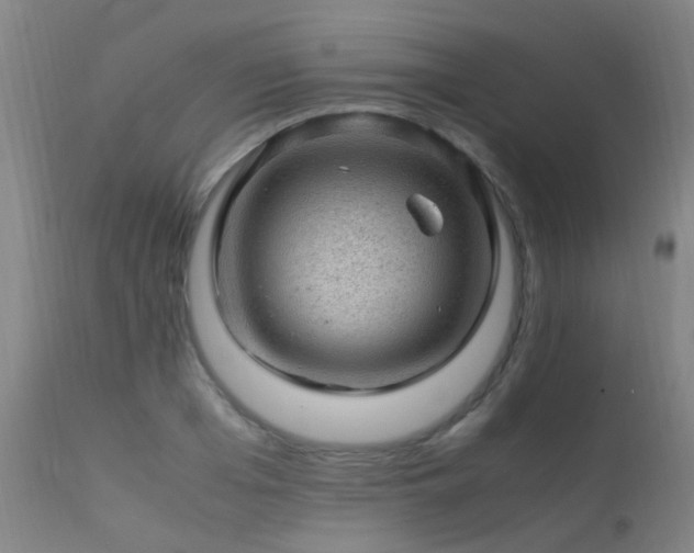 X0000113330985200909211216