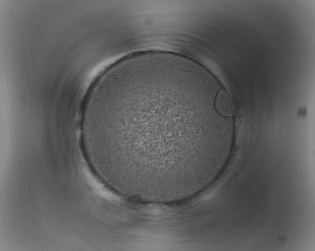 X0000113330987200909211216